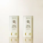 خرید و قیمت ضد آفتاب استیکی مات کننده بیوتی آف جوسان Beauty Of Joseon Matte Sun Stick Mugwort+Camelia وزن 18 گرم