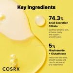 خرید و قیمت اسنس دوگانه حلزون کوزاركس COSRX Advanced Snail Radiance Dual Essence حجم 80 میلی لیتر
