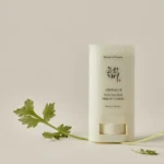 خرید و قیمت ضد آفتاب استیکی مات کننده بیوتی آف جوسان Beauty Of Joseon Matte Sun Stick Mugwort+Camelia وزن 18 گرم