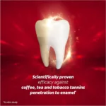 خمیر دندان سفید کننده ذغالی کلگیت مدل اپتیک وایت Colgate OPTIC WHITE حجم 125 میلی لیتر - Image 6