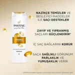 خرید و قیمت شامپو مو پنتن تعمیر و محافظت PANTENE onariji ve حجم 400 میلی لیتر