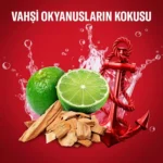 مام ضد تعریق ژله ای اولد اسپایس ۴۸ ساعته رایحه کاپیتان Old spice CAPITAN حجم 70 میلی لیتر - Image 4