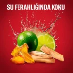 مام ضد تعریق ژله ای اولد اسپایس ۴۸ ساعته رایحه وایت واتر Old spice WHITEWATER حجم 70 میلی لیتر - Image 5